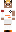 skin of a player