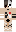 skin of a player