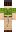skin of a player