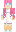 skin of a player