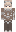 skin of a player