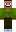 skin of a player