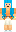 skin of a player