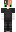 skin of a player