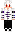 skin of a player
