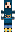 skin of a player
