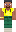 skin of a player
