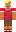 skin of a player