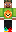 skin of a player