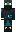 skin of a player