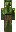 skin of a player