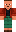 skin of a player