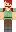 skin of a player
