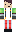 skin of a player