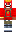 skin of a player
