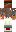 skin of a player