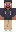 skin of a player