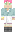 skin of a player