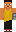 skin of a player