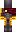 skin of a player