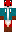 skin of a player