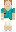 skin of a player