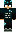 skin of a player