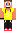 skin of a player