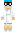 skin of a player