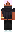 skin of a player