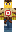 skin of a player