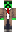 skin of a player