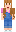 skin of a player