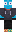 skin of a player
