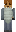 skin of a player