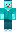 skin of a player