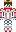 skin of a player