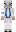 skin of a player