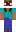 skin of a player