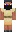 skin of a player
