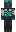 skin of a player