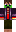 skin of a player