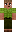 skin of a player