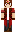 skin of a player