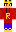 skin of a player
