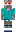 skin of a player
