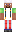 skin of a player