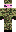 skin of a player