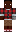 skin of a player