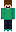 skin of a player